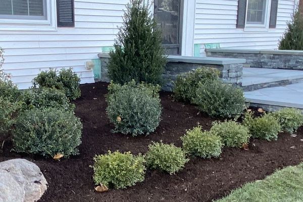 Front yard garden planned and planted by Custom Exterior Landscape.