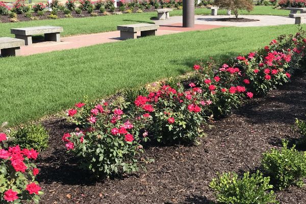 Custom designed shrub and flower garden installed by Custom Exterior Landscape.