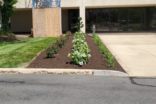 new brown mulch and garden outside office building