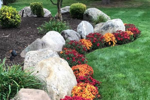 larger accent rocks in a mulched garden