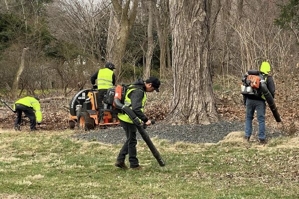 Landscaping crew providing fall cleanup on customer's property in Middletown, CT