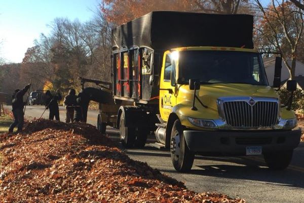 Leaf piling, vacuuming, and hauling in Wethersfield, CT