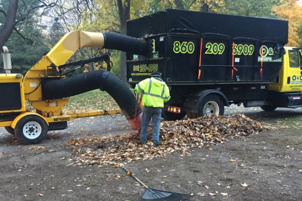 Leaf and fall debris pickup at property in East Hartford, CT