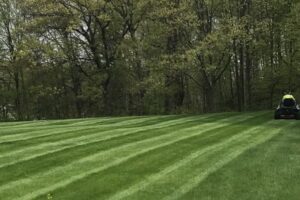 beautiful lawn mowing cut lines for commercial properties