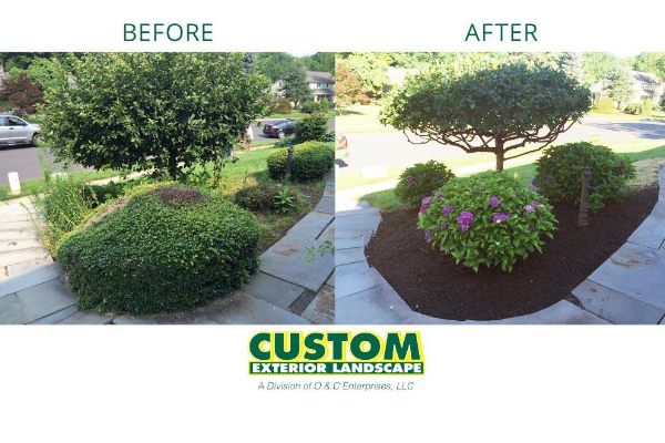 Small spring landscaping changes making a big difference