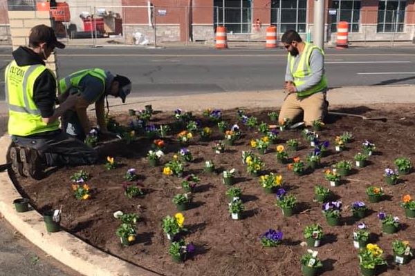 New spring garden being installed in Bristol